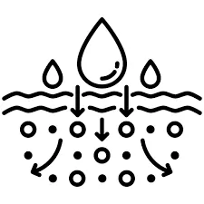 Near Instant Absorption Icon SEO