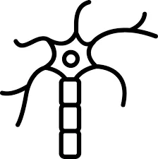 Nerve Fiber Regeneration Icon SEO