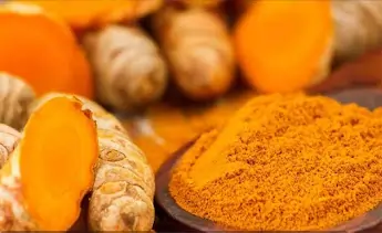 Organic Curcumin Longa SEO
