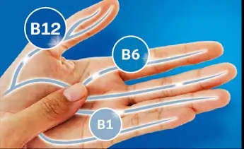 Vitamins B12 B6 B1 SEO